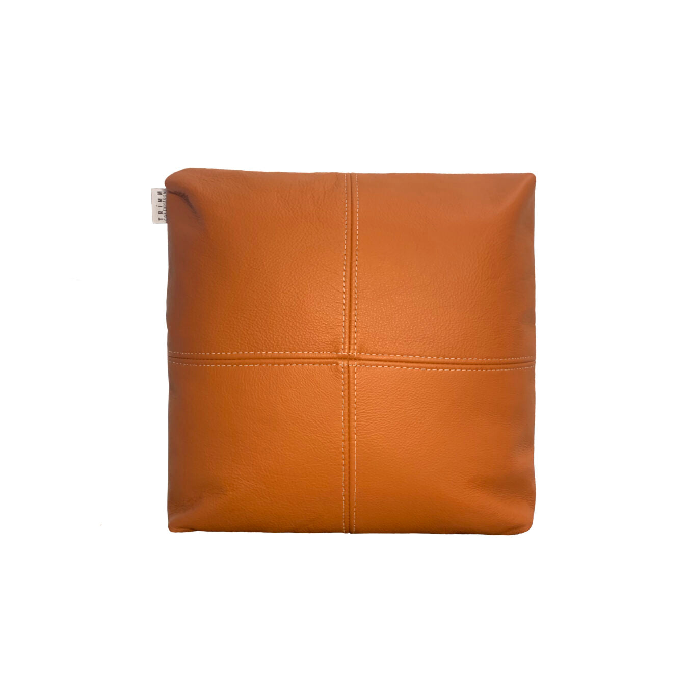 Leather Cushion
