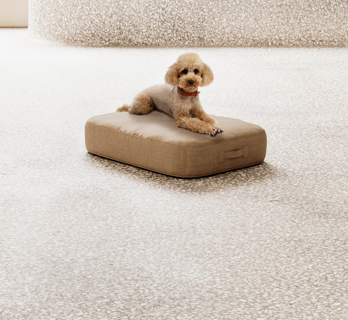 Medium Dog Cushion Cover
