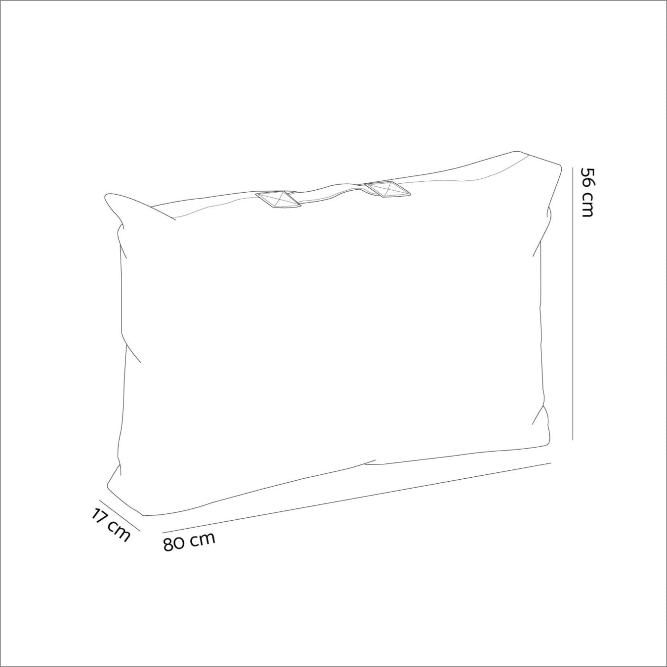 Felix Wolle Cushion