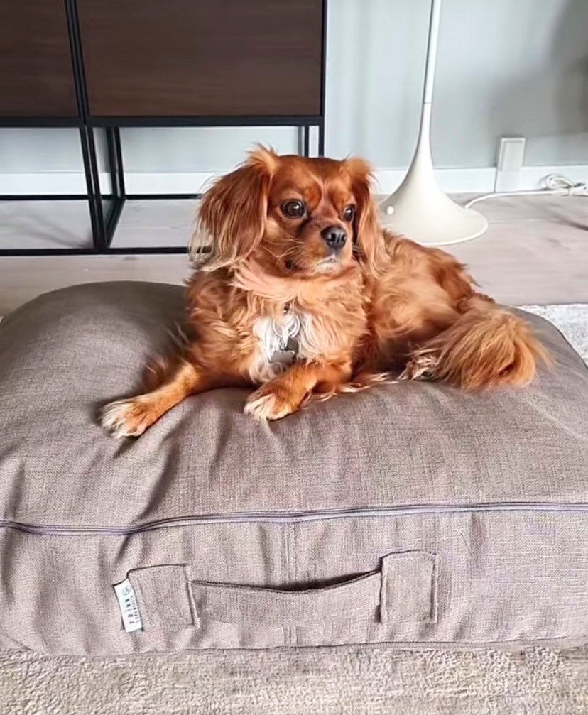 Dog cushion medium