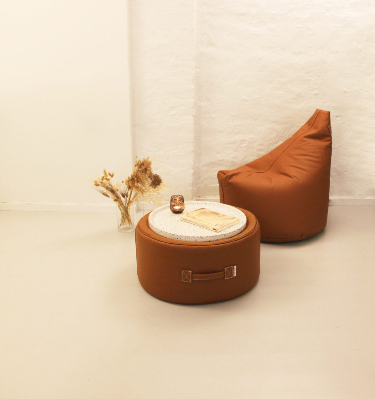 Lounge Satellite Leather Beanbag