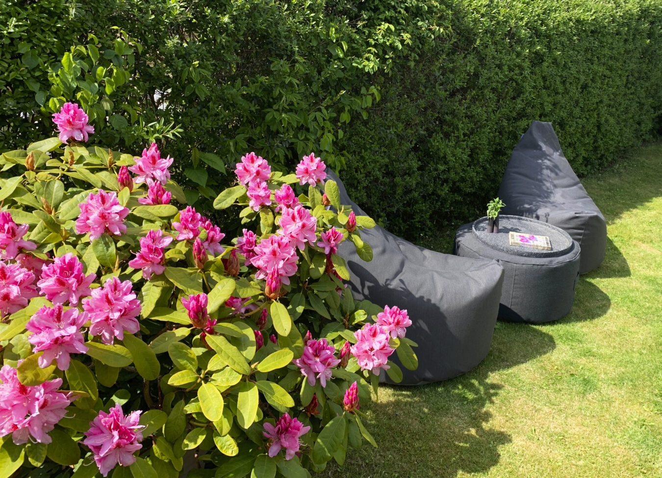 Lounge Satellite Dolce Beanbag