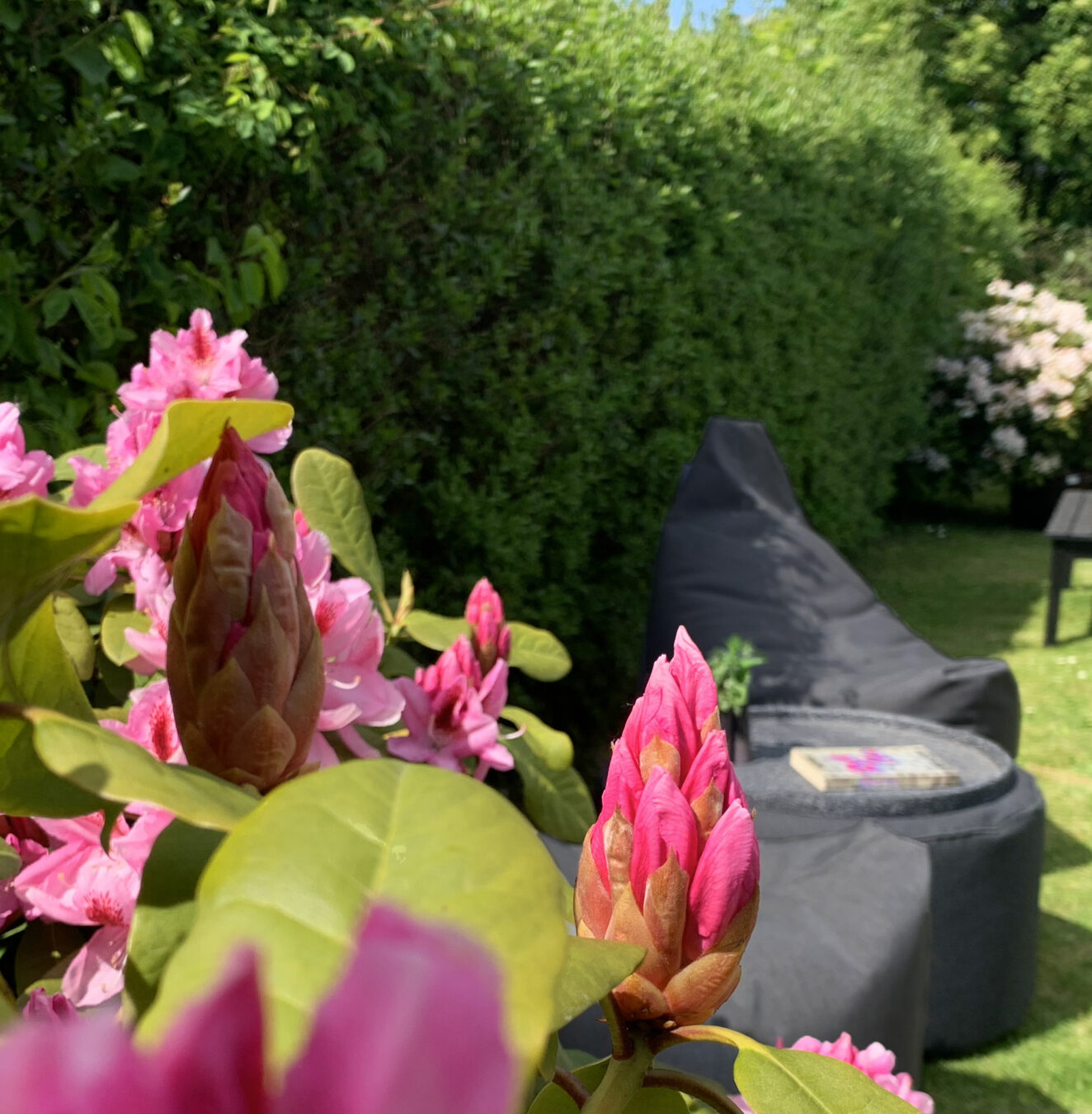 Weekend Set Sunbrella