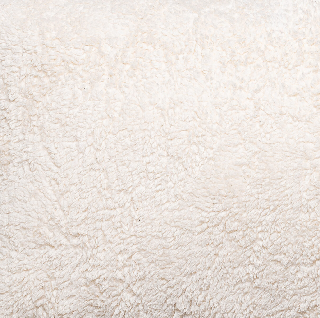 Small Teddy Cushion