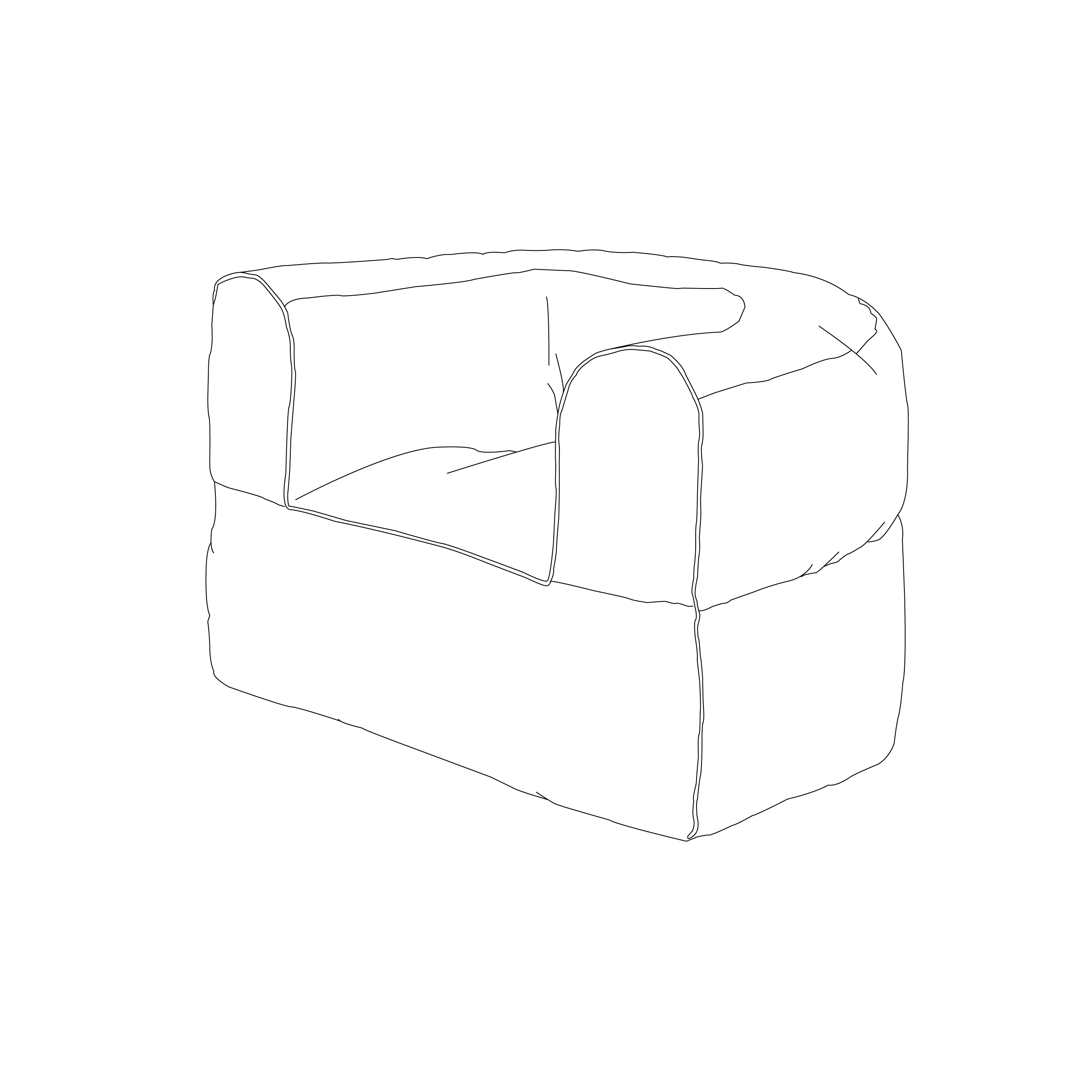 Arm-Strong Chair Cover