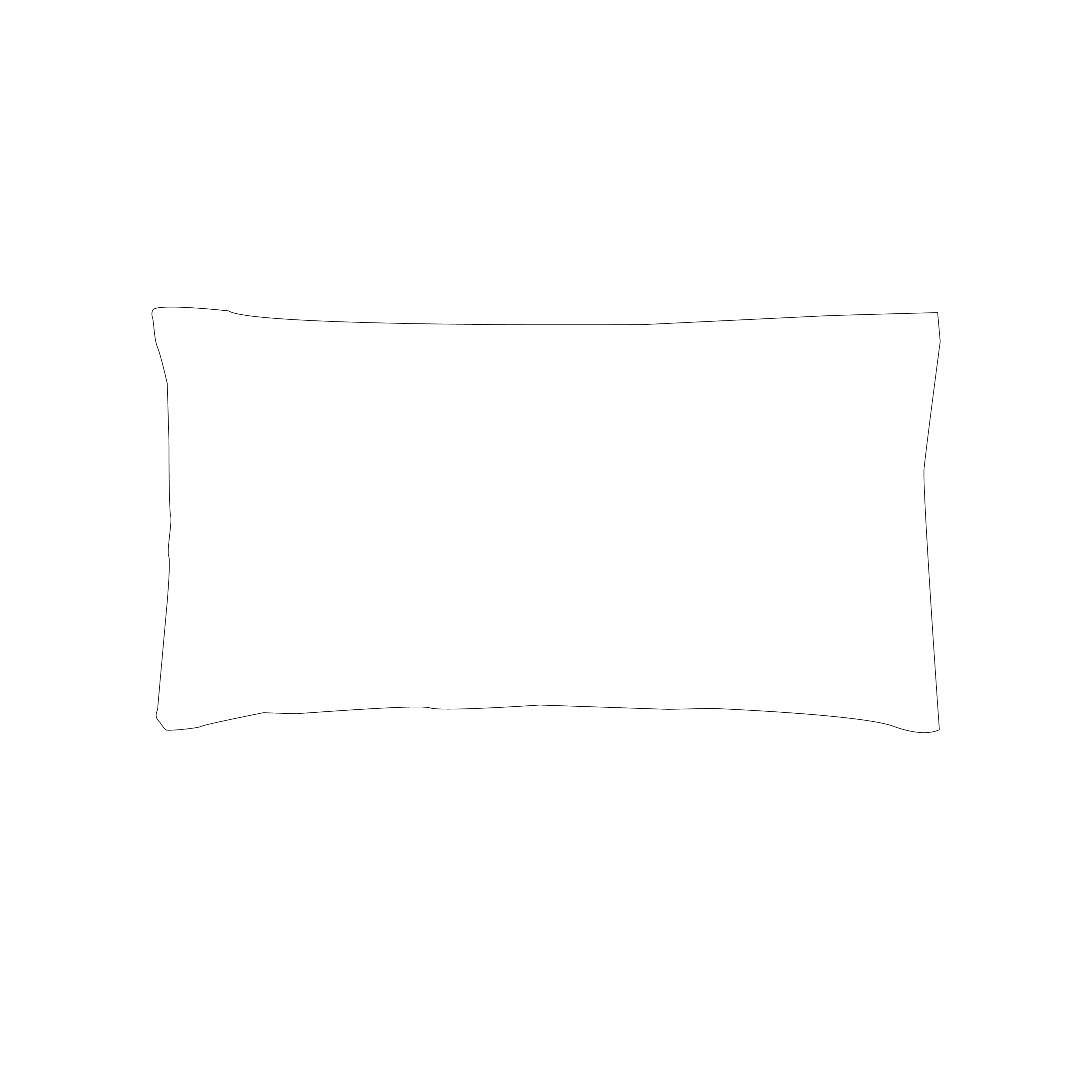 Large Cushion Cover