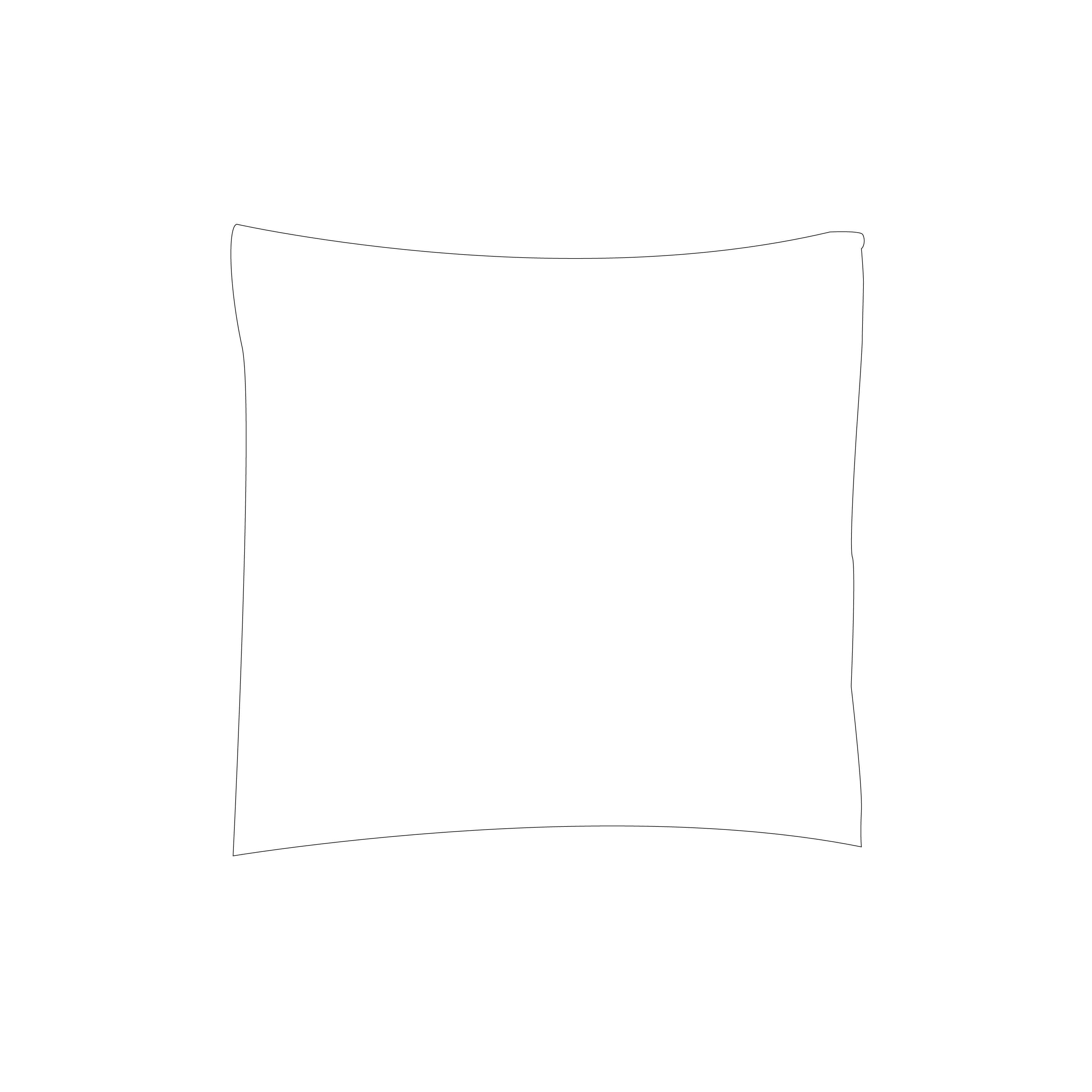 Square Cushion Cover