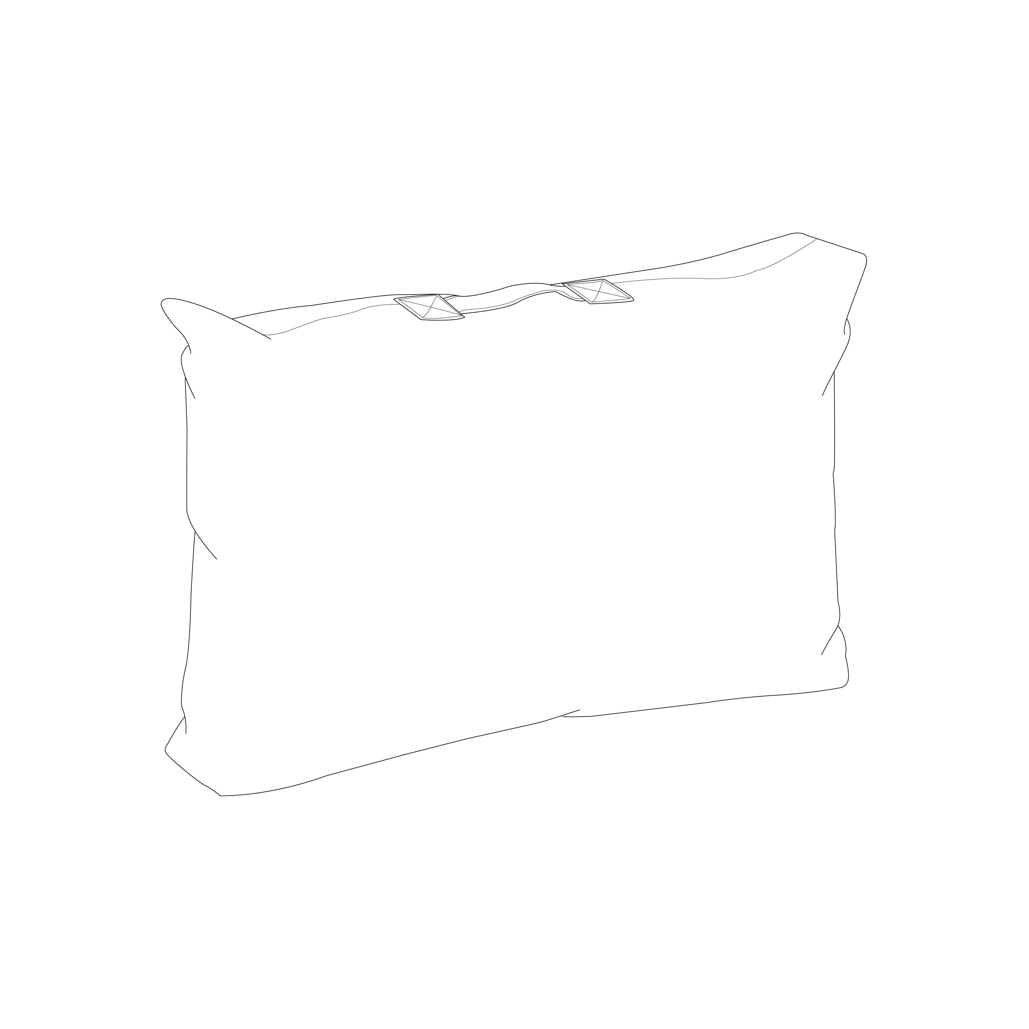 Felix Cushion Cover