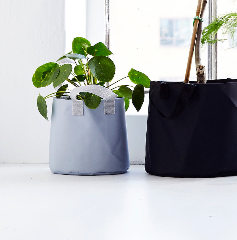 Single Flowerpot