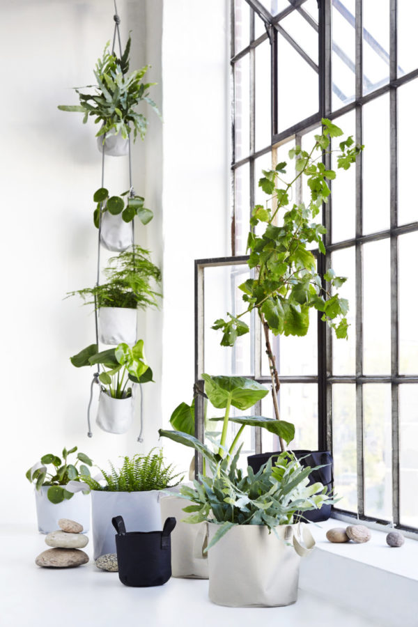 Single Flowerpot